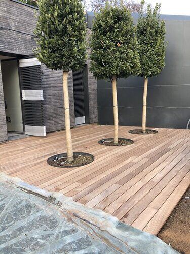 Parquet Teak Reggio Emilia